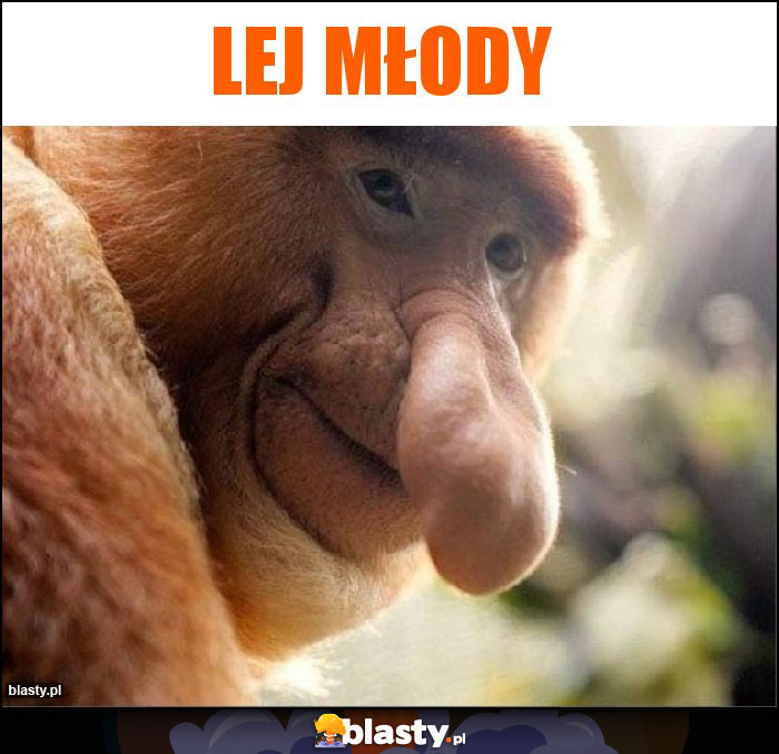 Lej młody