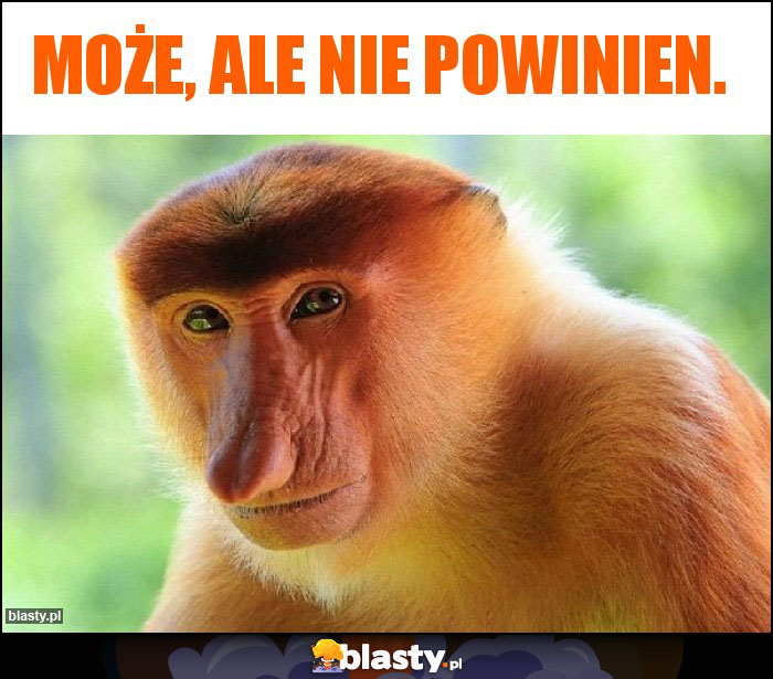 Może, ale nie powinien.