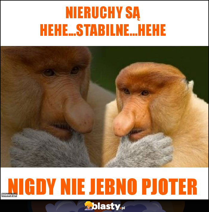 Nieruchy są hehe...stabilne...hehe