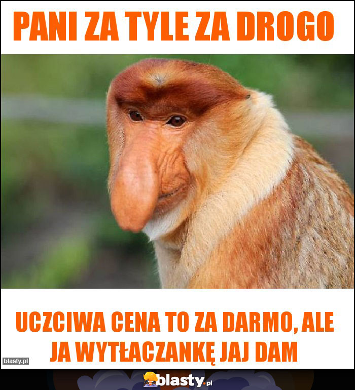 Pani za tyle za drogo