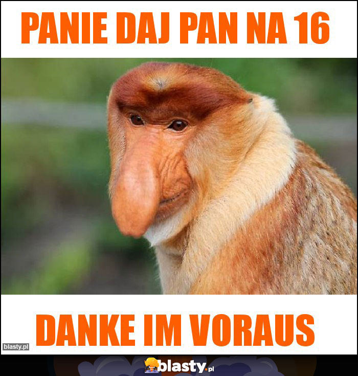 Panie daj pan na 16