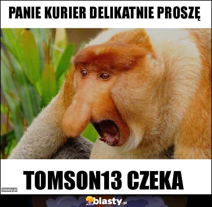 panie kurier delikatnie proszę