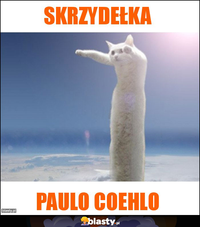 Skrzydełka