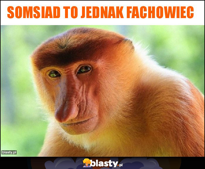 Somsiad to jednak fachowiec