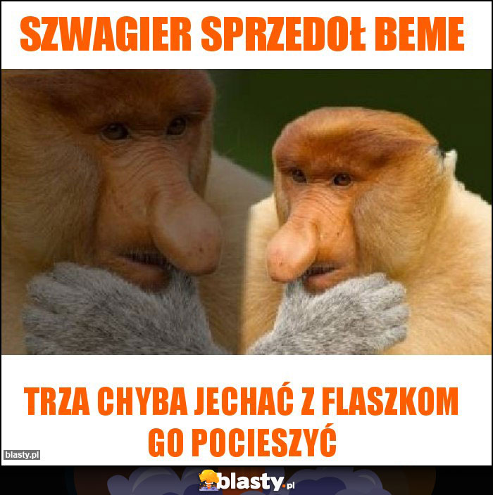 Szwagier sprzedoł beme