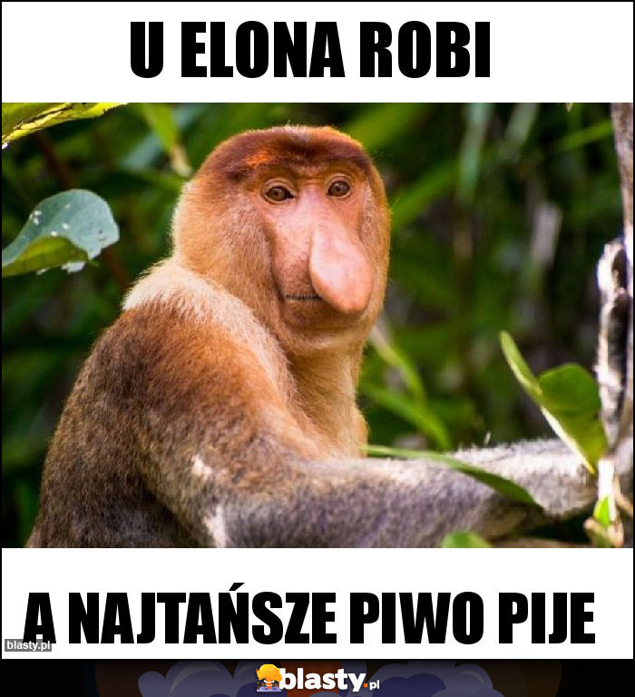 U Elona robi