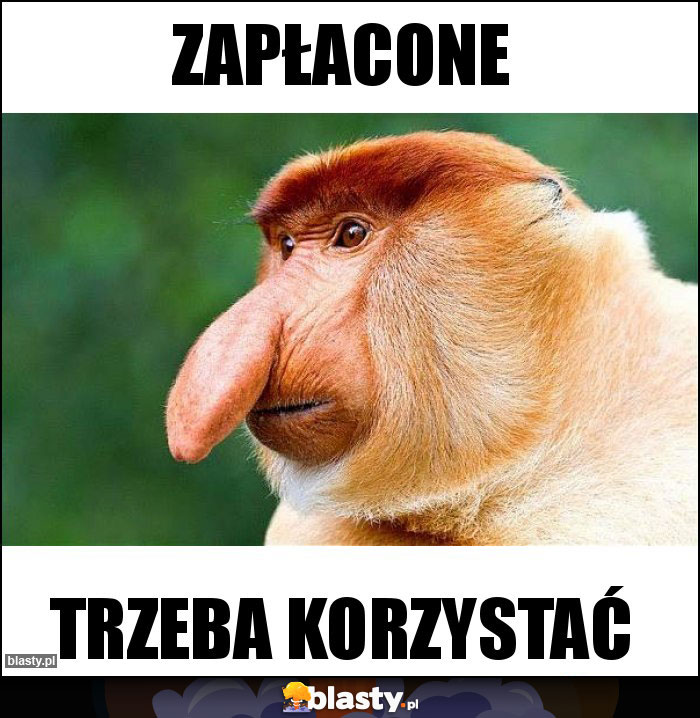 ZAPŁACONE