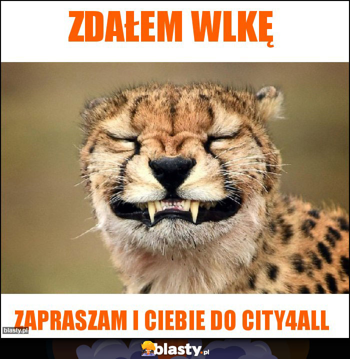 Zdałem Wlkę