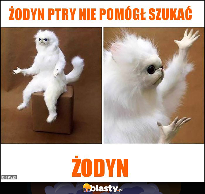 ŻODYN ptry nie pomógł szukać