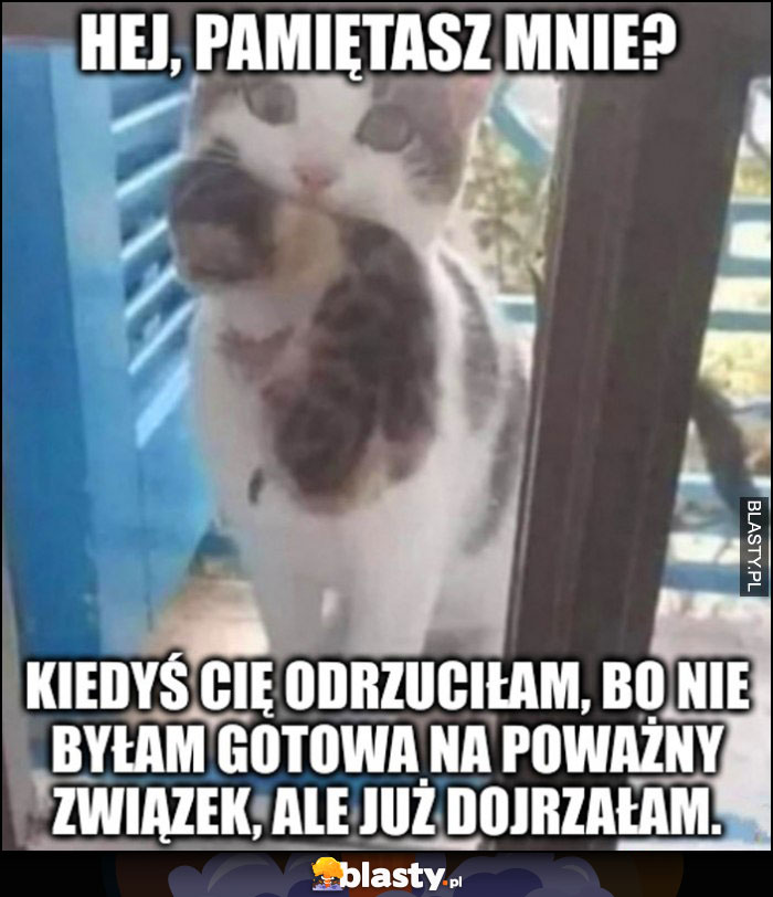 Kotka z małym: hej pamiętasz mnie? Kiedyś cię odrzuciłam, bo nie byłam gotowa na poważny związek, ale już dojrzałam