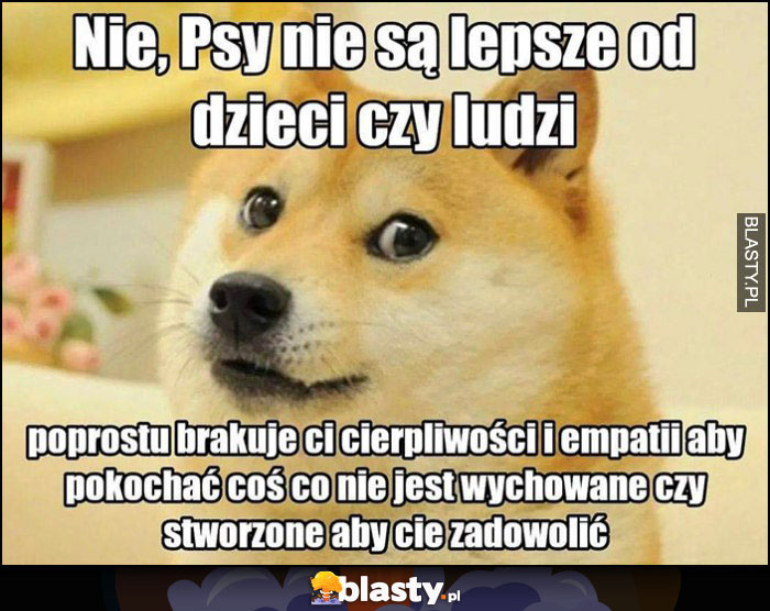 Pies pieseł doge: nie, psy nie są lepsze od dzieci czy ludzi, po prostu brakuje ci cierpliwości i empatii aby pokochać coś, co nie jest wychowane czy stworzone, aby cię zadowolić