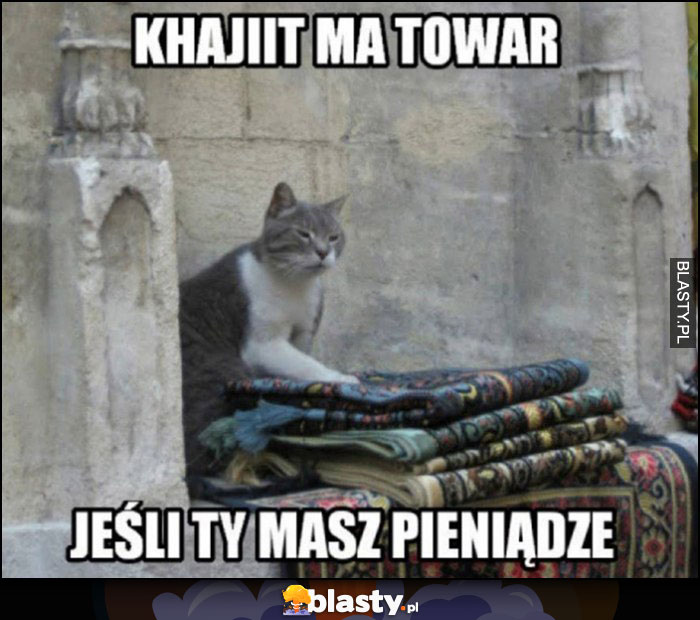 Kot khajiit ma towar, jeśli ty masz pieniądze