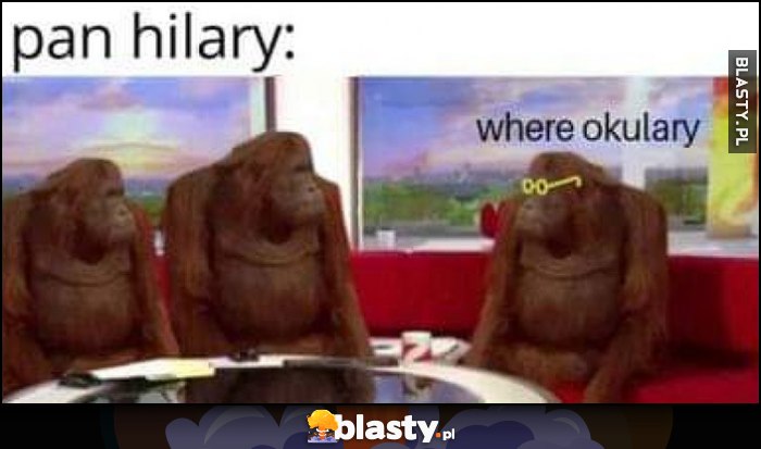 Pan Hilary: where okulary małpy goryle szympansy
