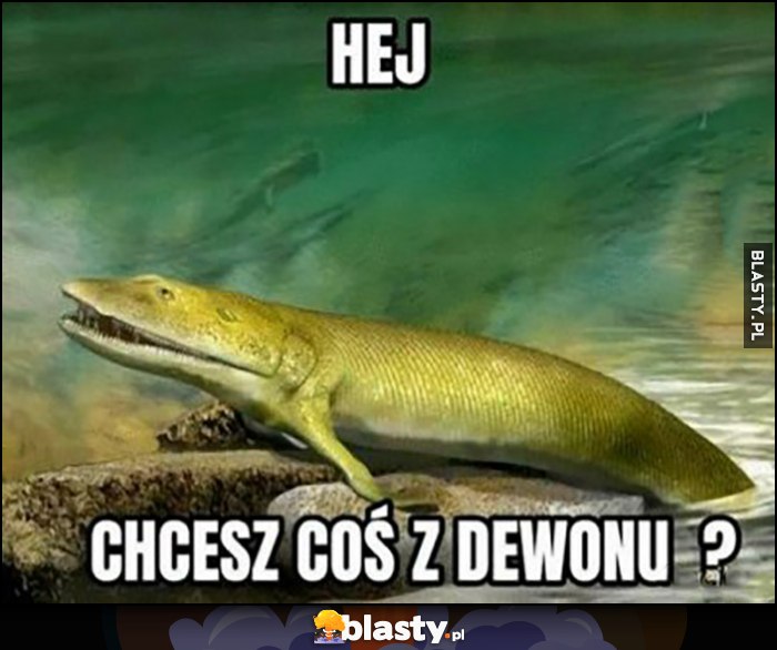 Hej, chcesz coś z dewonu Avonu?