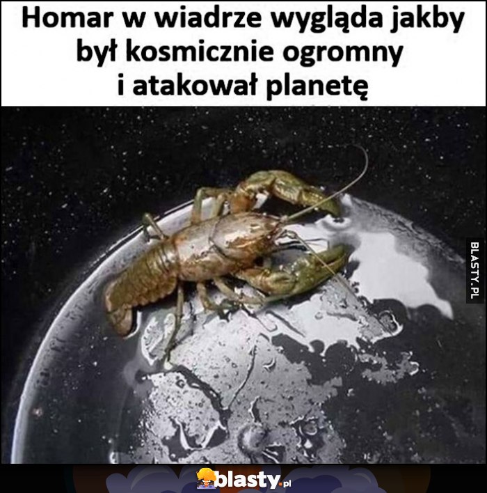 Homar w wiadrze wygląda jakby był kosmicznie ogromny i atakował planetę