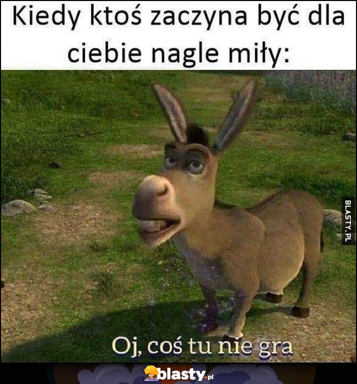 Osioł Shrek kiedy ktoś zaczyna być dla ciebie nagle miły, oj coś tu nie gra