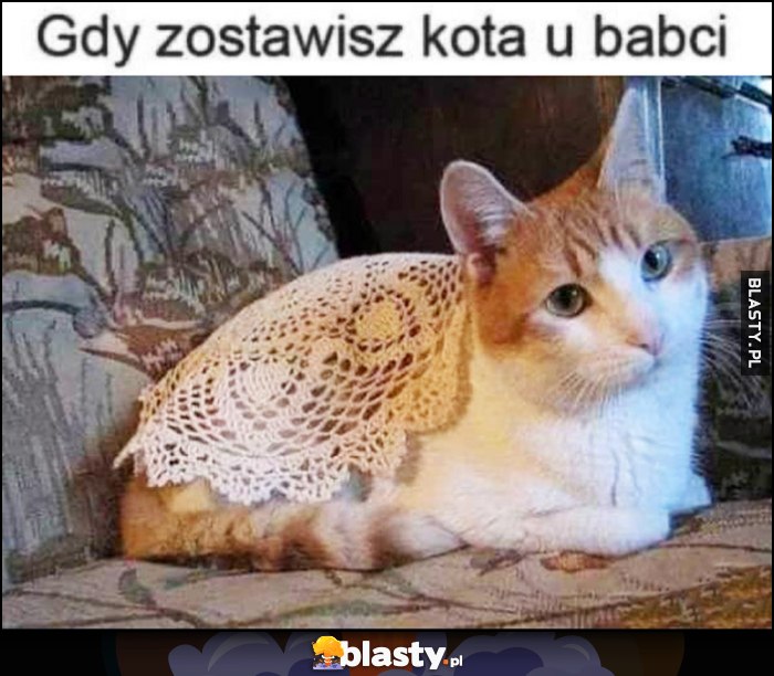 Gdy zostawisz kota u babci leży na nim serwetka