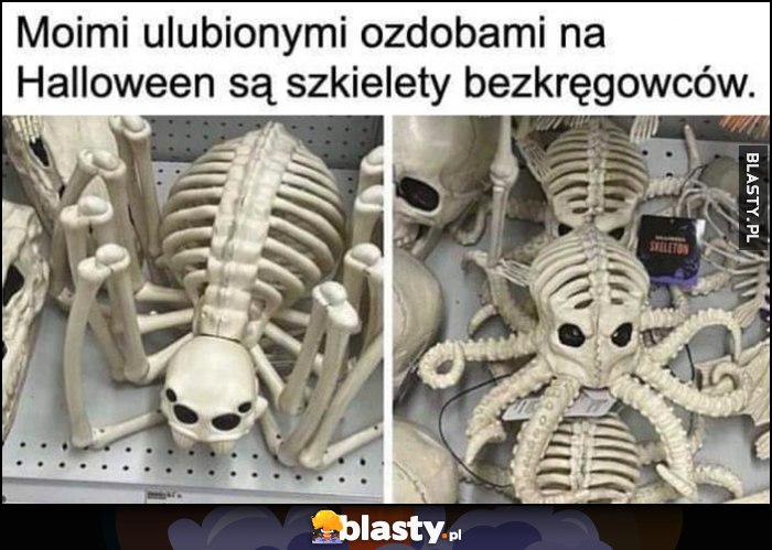 Moimi ulubionymi ozdobami na Halloween są szkielety bezkręgowców