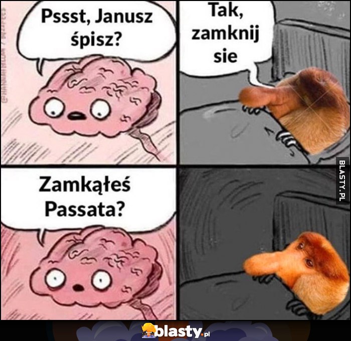 Mózg: psst Janusz śpisz? Tak, zamknij się. Zamknąłeś Passata?