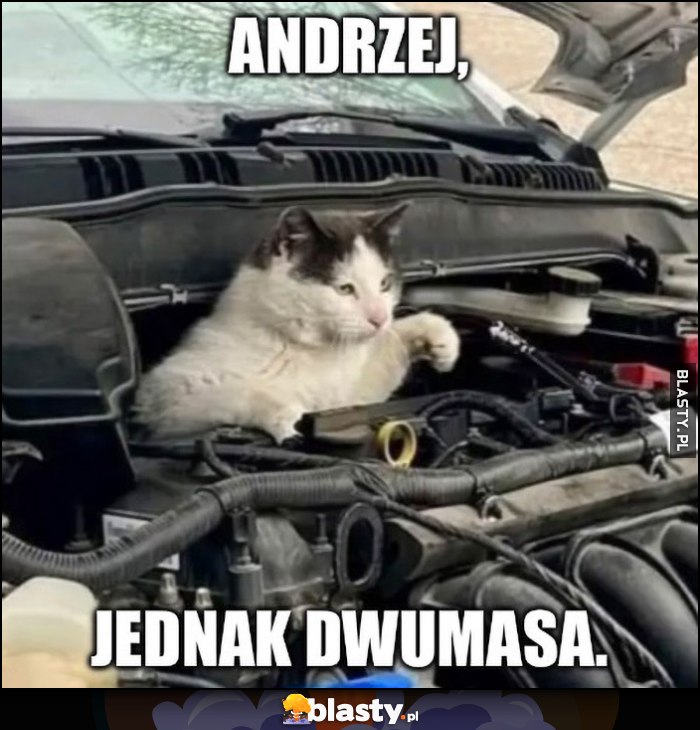 Kot mechanik Andrzej to jednak dwumasa