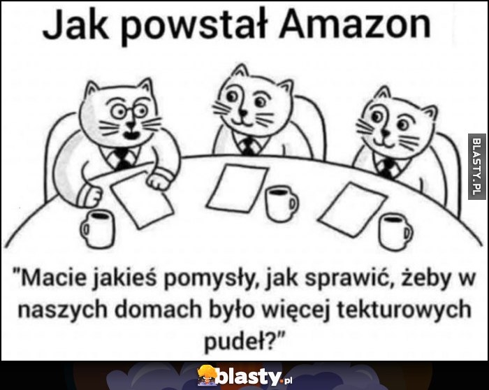 Jak powstał Amazon: koty macie pomysły jak sprawić, żeby w naszych domach było więcej tekturowych pudeł?