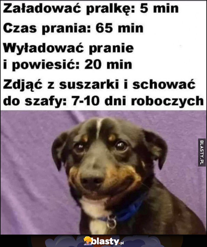 Załadować pralkę: 5 min, czas prania: 65 min, wyładować i rozwiesić: 20 min, zdjąć z suszarki i schować do szafy: 7-10 dni roboczych